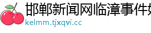 邯郸新闻网临漳事件始末